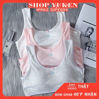 Áo Lót Bé GáiĐệm Mỏng[35kg~55kg] Áo Lót Coton Học Sinh 3 Móc Cài Co Giản Tốt