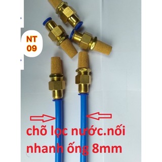 Chõ, rọ đồng lọc nước, lọc cặn bẩn cho bơm phun sương ống 8mm, 8 ly