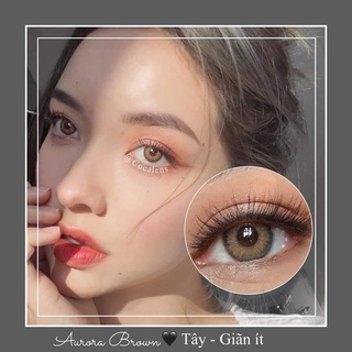 MẪU LENS NÂU TÂY KHÔNG ĐỘ
