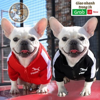 ( size 1,5kg --> 18kg ) ÁO POMII ĐẬM CHẤT THỂ THAO CHO CHÓ MÈO - chó lớn