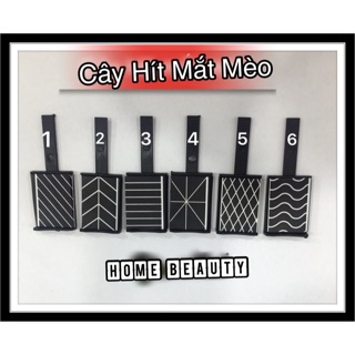 Cây Hít Mắt Mèo