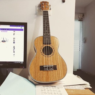 Concert sọc vằn ( hot )
