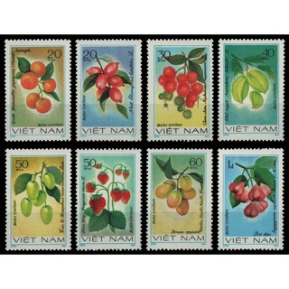 Tem sưu tập MS  383 Tem Việt Nam Quả 1981 ( 8 tem )