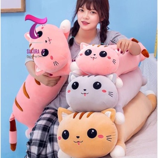 Mèo Ôm Bông Đáng Yêu  Katties Cats Baby  Gấu Bông Tiểu Hổ Dễ Thương  Thú Nhồi Bông Nhập Khẩu Sakura JP