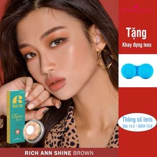 Kính áp tròng 1 ngày Shine Brown ANN365, lens cận màu nâu sáng cao cấp dùng thoải mái suốt 24H