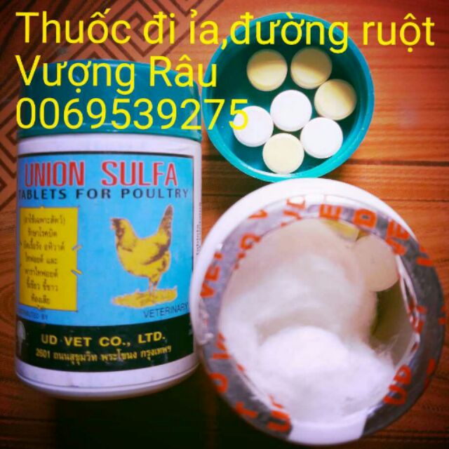 Phụ kiện gà chọi