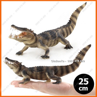 Mô Hình Cá Sấu Cổ Đại Size Lớn Có Khớp Miệng – Dài 25cm - 4691.2