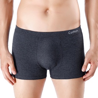 Boxer / Quần Lót Nam Cotton Co Giãn Bốn Chiều ( QL : 200 )