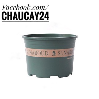 Chậu cây nhựa thấp màu xanh rêu trồng cây cảnh để bàn, cây hoa kiểng, cây văn phòng, cây nội thất