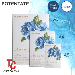 Pad Canson A3/A4/A5 300gsm - Vân Cold Vẽ Màu Nước Potentate Cao Cấp - 16 Tờ - Hoa Hồng  [TC ART ]