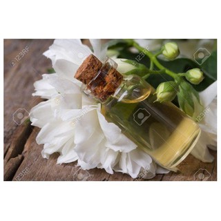 Tinh dầu hoa ly nguyên chất 10ml