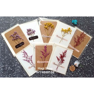 Thiệp hoa khô handmade có bao thư siêu xinh xắn, thiệp dùng làm quà tặng kèm dễ thương