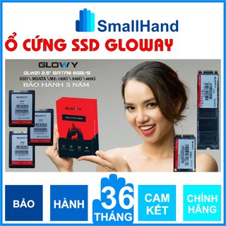 Ổ cứng SSD Gloway (SATA III) các model M2 / mSATA / 2.5” – CHÍNH HÃNG – Bảo hành 3 năm SSD 120GB/240GB/256GB/480GB