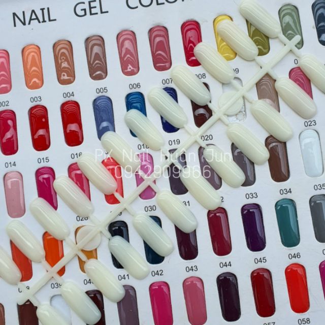 Móng đặc gắn bảng màu 24 móng