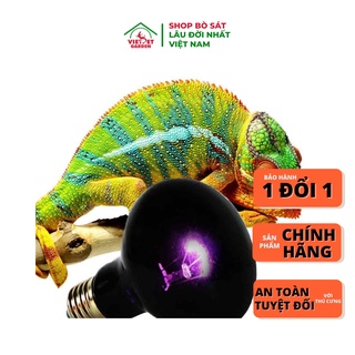 Đèn sưởi đêm dành cho thú cưng bò sát | Vietpetgarden