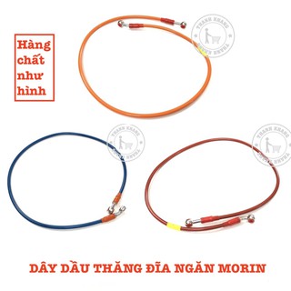dây dầu thắng đĩa màu morin thanh khang