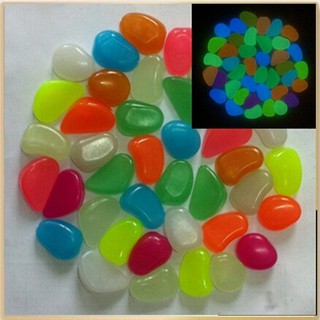 Sỏi và sao biển dạ quang bịch 50 viên
