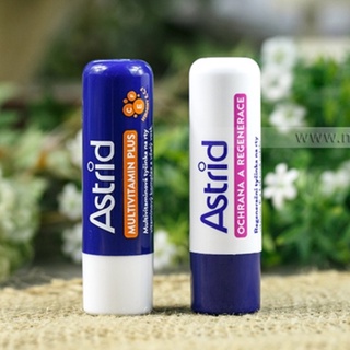 Son Dưỡng Mỡ Hươu Astrid Vitamin E Chính Hãng Nga 2 Phiên Bản