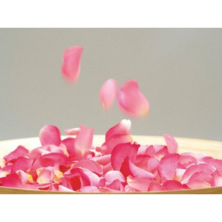 sỉ cánh hoa hồng trải giường cưới, xếp hình yêu thương( combo 10 gói= 1000 cánh)