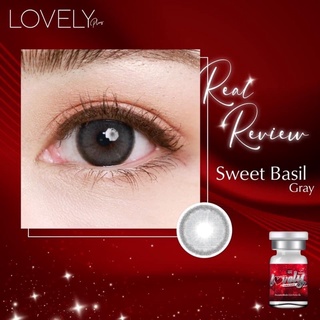 Lens mắt xám tự nhiên Sweet Basil 0 độ