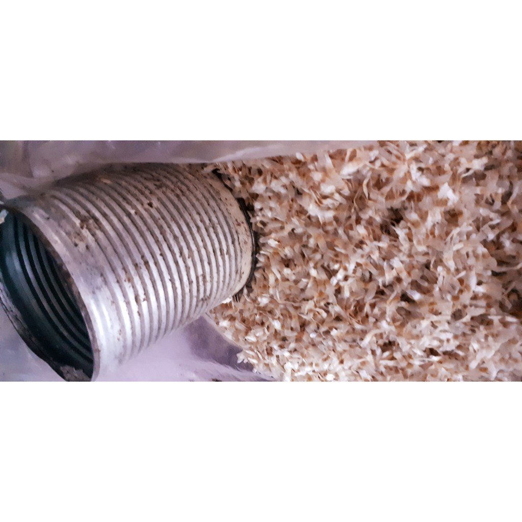 HẠT NÚC NÁC GIỐNG