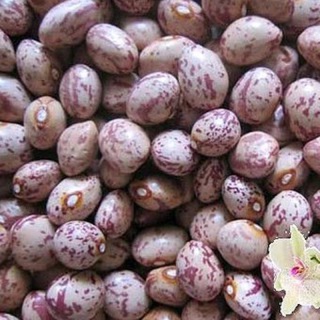 Đậu cúc ( Hút chân không) gói 300g-500g