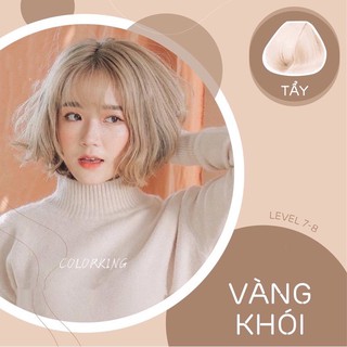 Thuốc nhuộm tóc Vàng khói cần dùng Thuốc tẩy tóc COLORKING