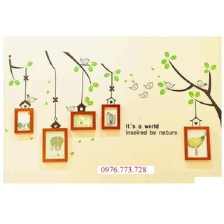 Decasl dán tường khung ảnh chim nhỏ