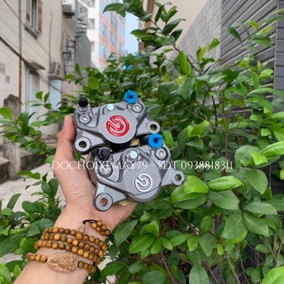 Heo brembo 2pis gắn mọi loại xe