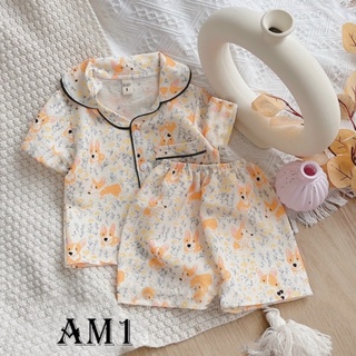 (8-19kg) Đồ bộ quần áo pijama chất đũi xốp cho bé QATE823 QATE898