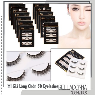 Mi Giả Lông Chồn 3D 3PCS 3 Fashion Eyelashes 3 Faux-Cils (3 cặp)