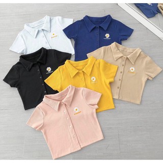 Áo croptop polo thêu hoa cúc xinh cái nút dễ thương xinh