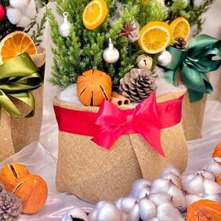 Vải Bố bọc chậu cây thông Noel, làm phông chụp ảnh vintage, trang trí đồ handmade