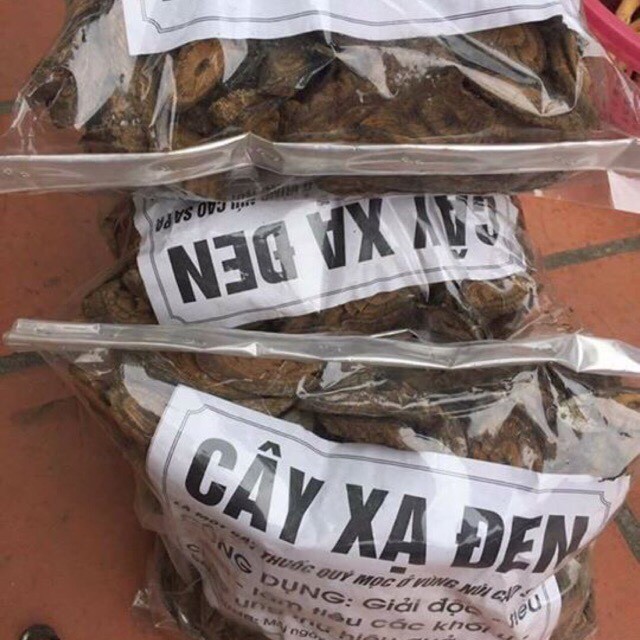 Cây Xạ Đen
