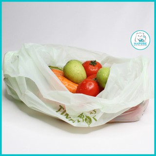 Túi tự hủy sinh học Aneco shopping có quai