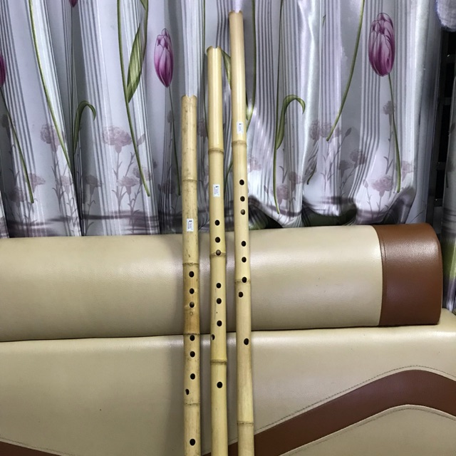 Tiêu sáo (free ship)