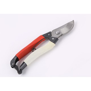 Kéo tỉa cành MN01 dành cho cây cảnh của bạn
