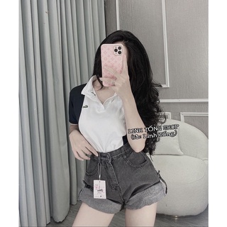 Áo Polo Pha Tay Unisex Tay Lỡ Form Rộng Vải Thun Cotton Dày Dặn Phong Cách Hàn Quốc – Anh Ribi Store