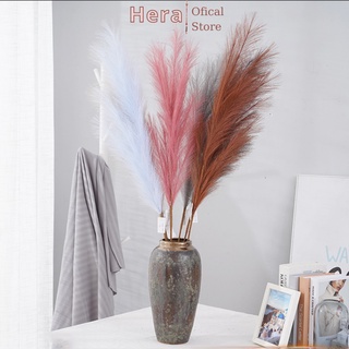 Hoa khô trang trí Cành cỏ lau Pampass Grass trang trí để bàn, phụ kiện chụp ảnh đẹp, hoa khô decor