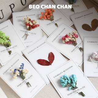 THIỆP HANDMADE GẮN HOA VÀ LÁ THIỆP DECOR QUÀ SINH NHẬT DỊP LỄ