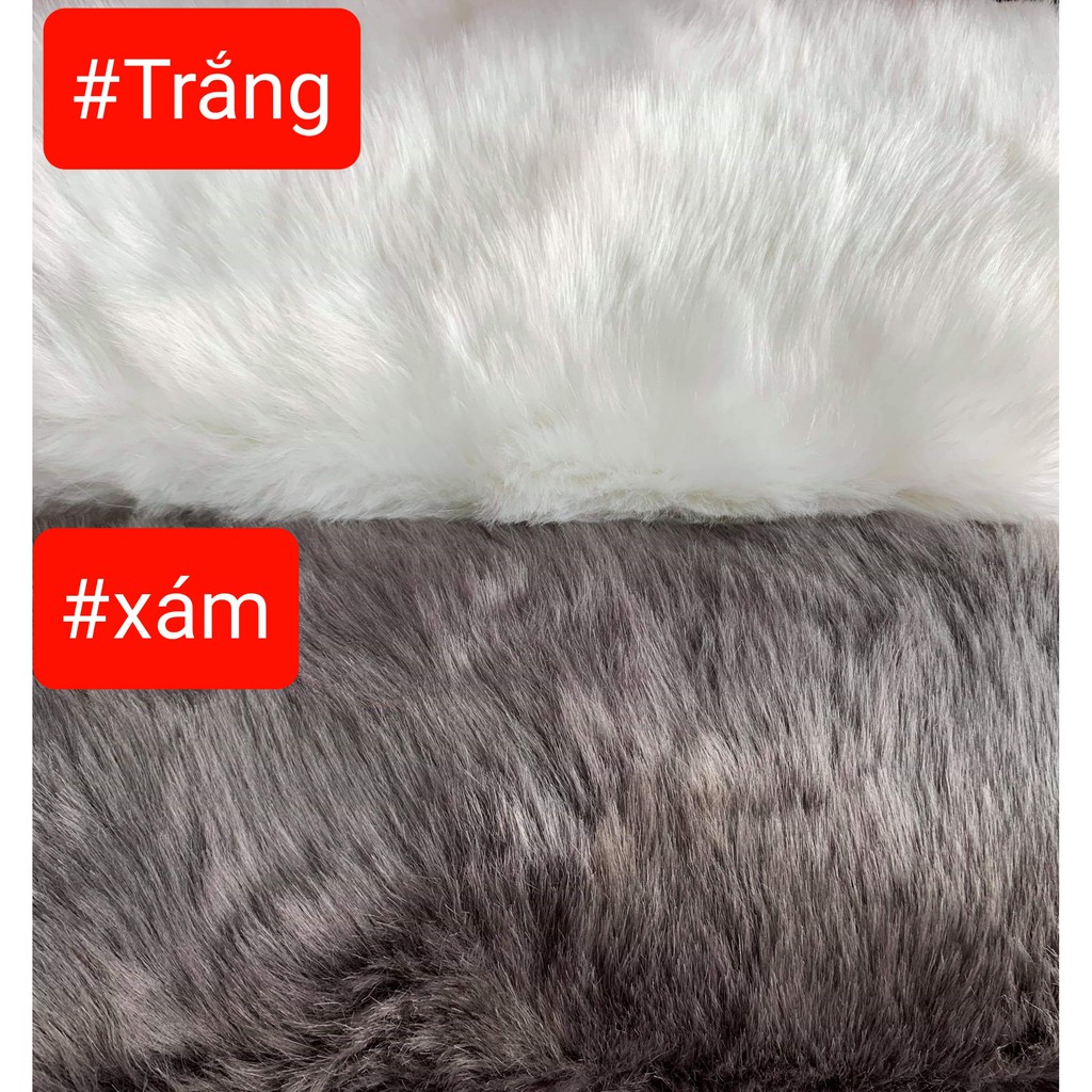 Thảm Lông Chụp Ảnh