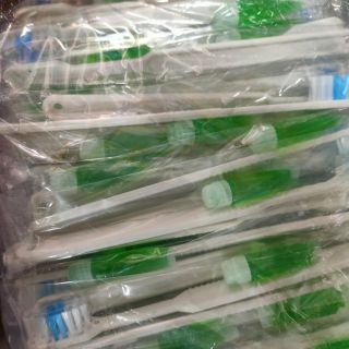 Bàn chải đánh răng dành cho khách sạn ( 100 cây)