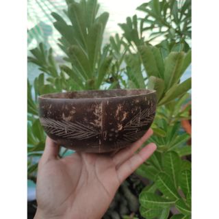 Tô Gáo Dừa | Gáo Tô
