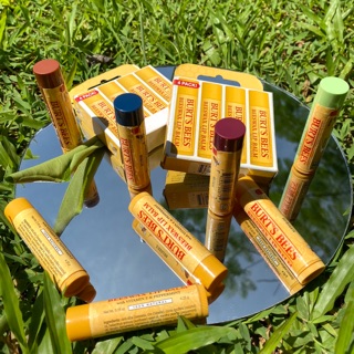 SON DƯỠNG BURT’S BEE