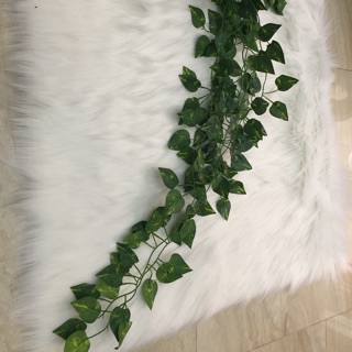 Phụ kiện - đạo cụ chụp hình - trang trí ☘☘☘