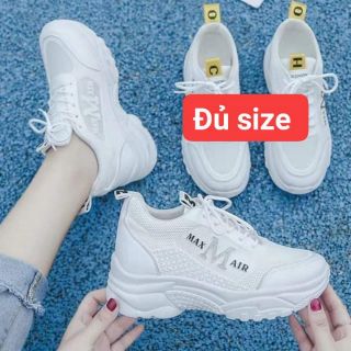 combo giày thể thao 235k