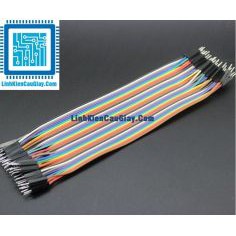 Dây Bus 20CM (10 Sợi)
