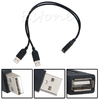 Mới Dây Cáp Chia 2 Cổng Usb 2.0 Cái Sang 2 Đầu Đực 26cm