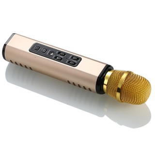 Micro Karaoke Bluetooth PKCB204 Hát Cực Hay, Nghe Nhạc Âm Thanh Sống Động - Hàng Chính Hãng