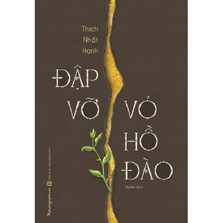 Sách -   Đập Vỡ Vỏ Hồ Đào - nguyetlinhbook